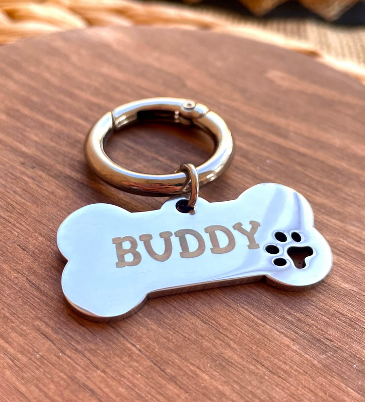 İsme Özel Çelik Kedi Köpek İsimlik Künyesi - Gümüş (Silver)