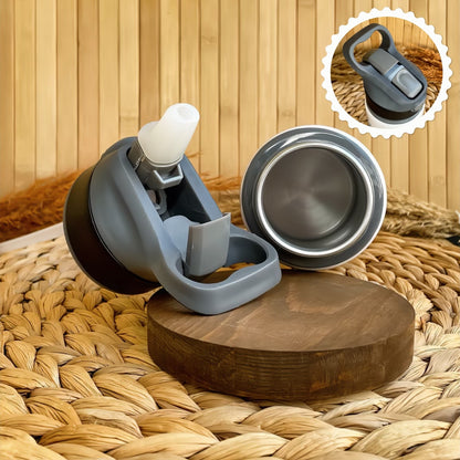 Dinozor Temalı İsme Özel Alüminyum Pipetli Suluk Matara 650 ml