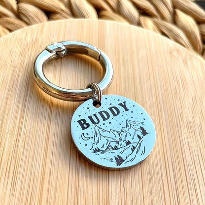 İsme Özel Çelik Kedi Köpek İsimlik Künyesi - Gümüş (Silver)