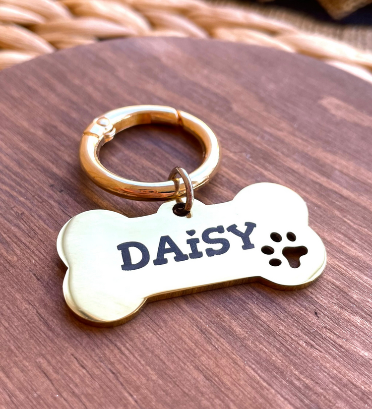 İsme Özel Çelik Kedi Köpek İsimlik Künyesi - Altın (Gold)