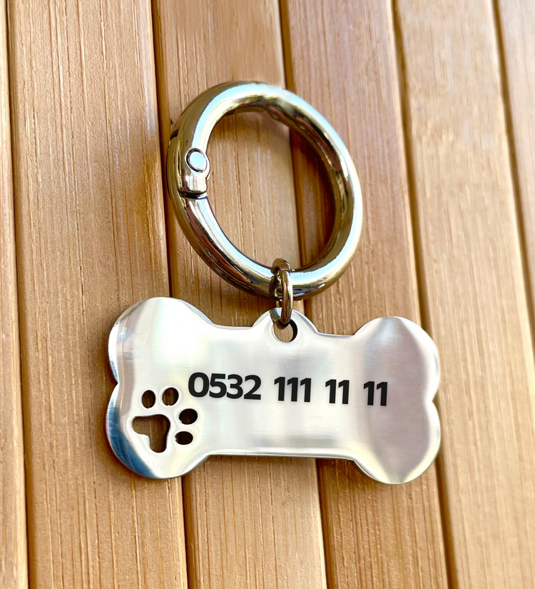 İsme Özel Çelik Kedi Köpek İsimlik Künyesi - Gümüş (Silver)