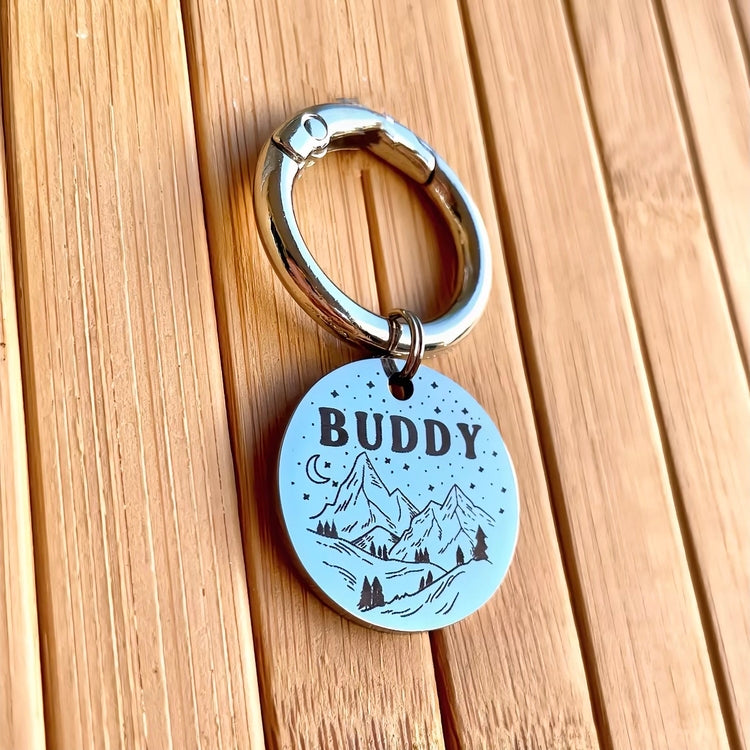 İsme Özel Çelik Kedi Köpek İsimlik Künyesi - Gümüş (Silver)