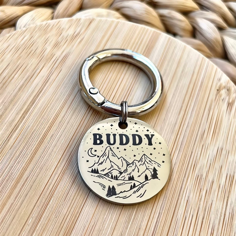 İsme Özel Çelik Kedi Köpek İsimlik Künyesi - Gümüş (Silver)