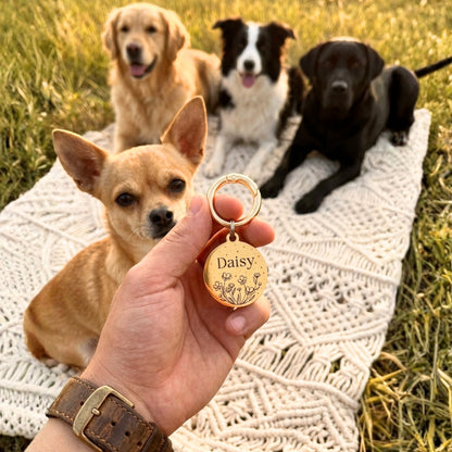İsme Özel Çelik Kedi Köpek İsimlik Künyesi - Çiçek Desenli (Gold)